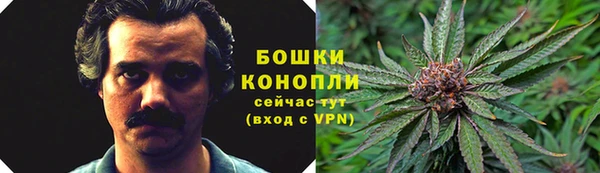 ешки Арсеньев